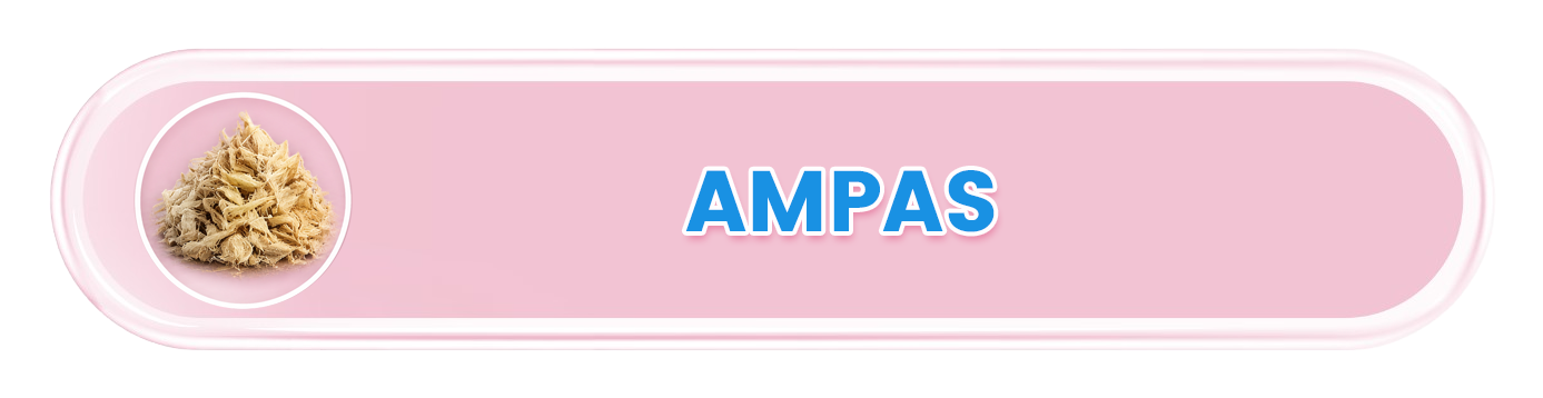 Ampas