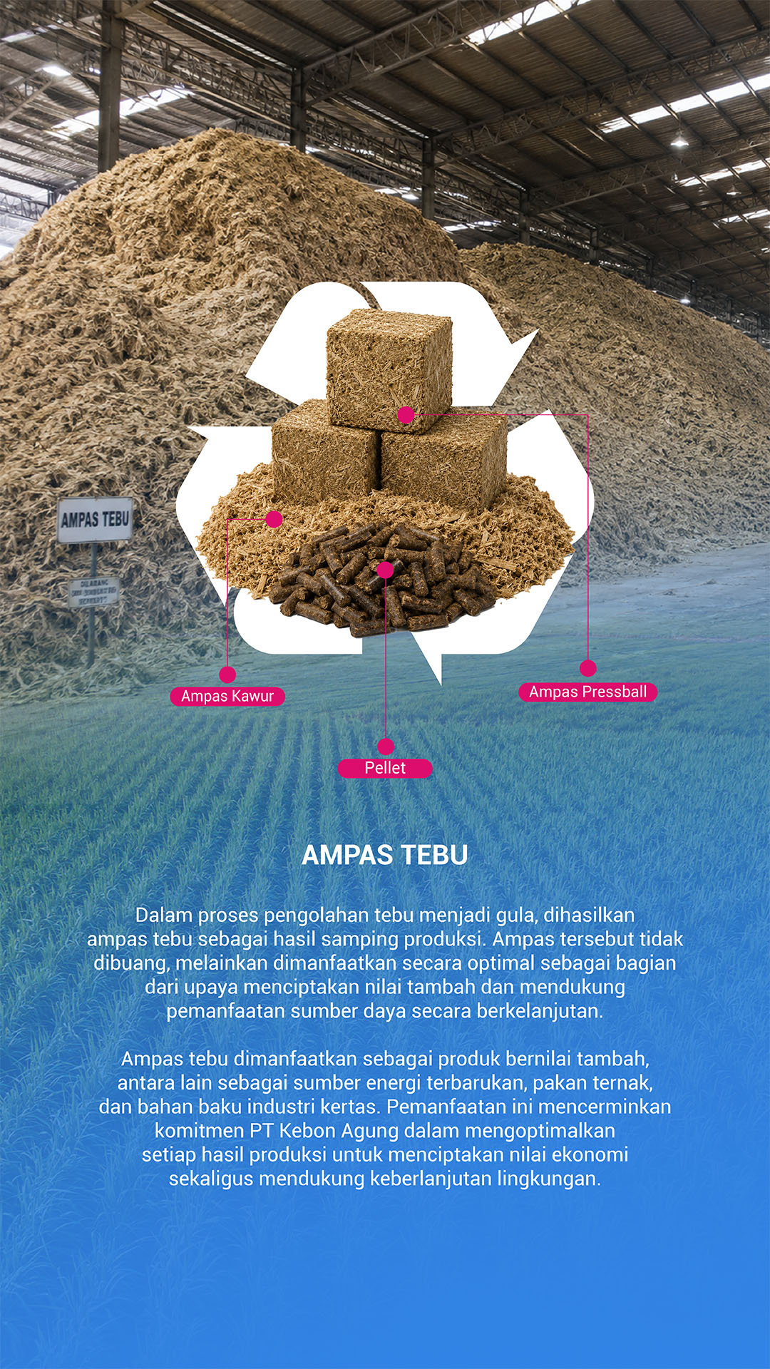 Panel Ampas Tebu
