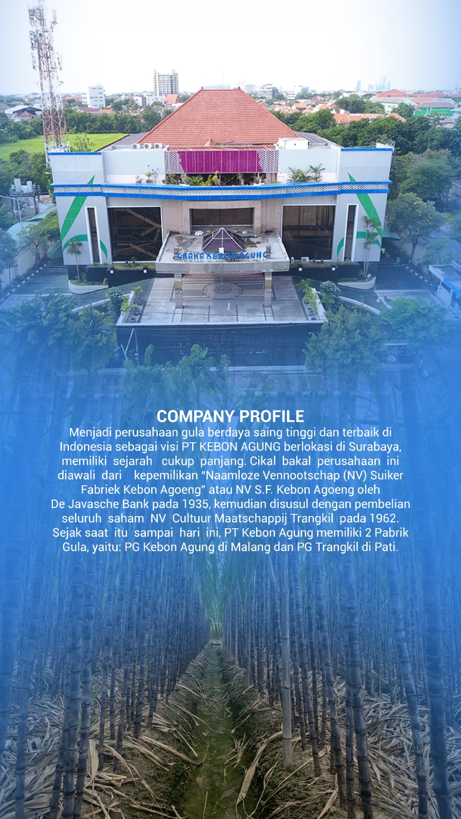Company Profile PT Kebon Agung