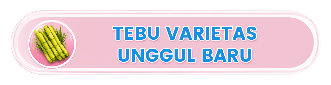 Tebu Varietas Unggul Baru
